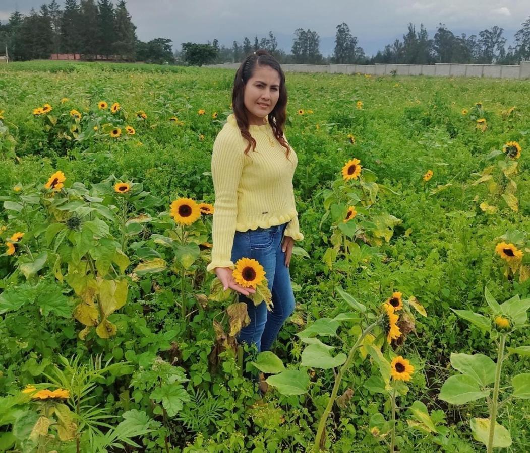 Hospedaje El Girasol Tababela كويتو المظهر الخارجي الصورة