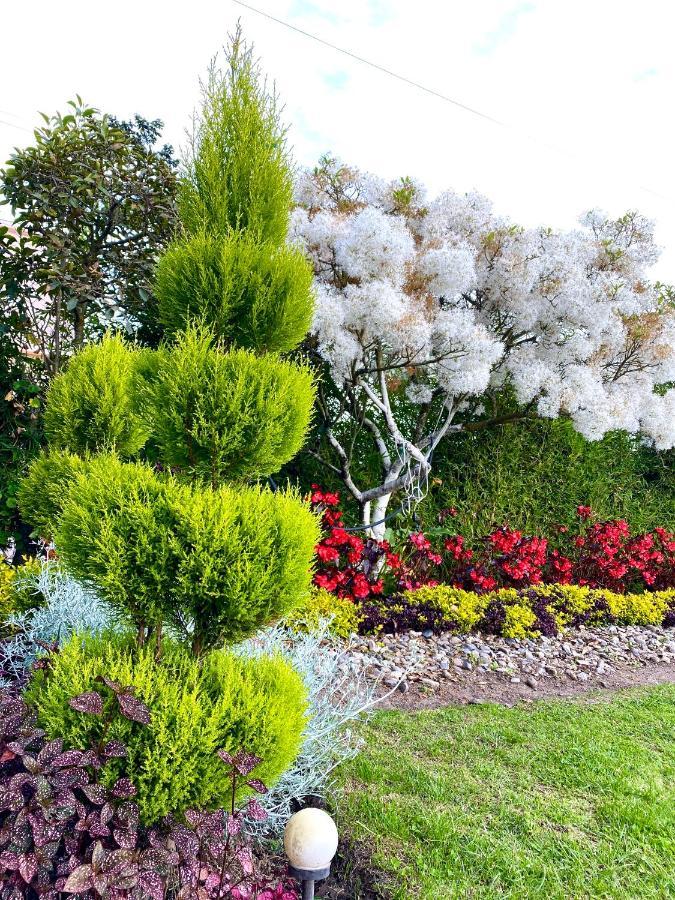 Hospedaje El Girasol Tababela كويتو المظهر الخارجي الصورة